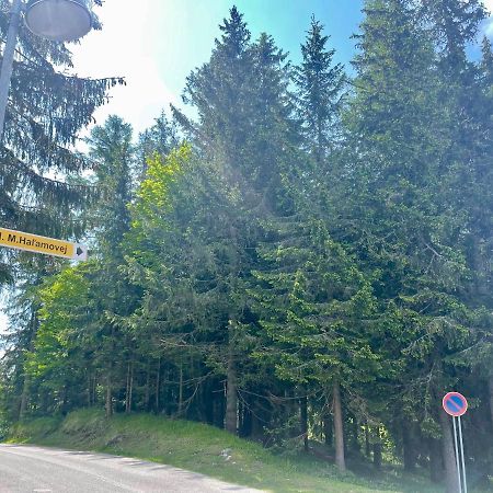 Tatry Ela Big Apartment Štrbské Pleso Exteriör bild